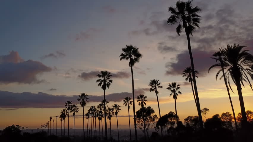 Tumblr Beach Sunset California Tumblr Beach Sunset California